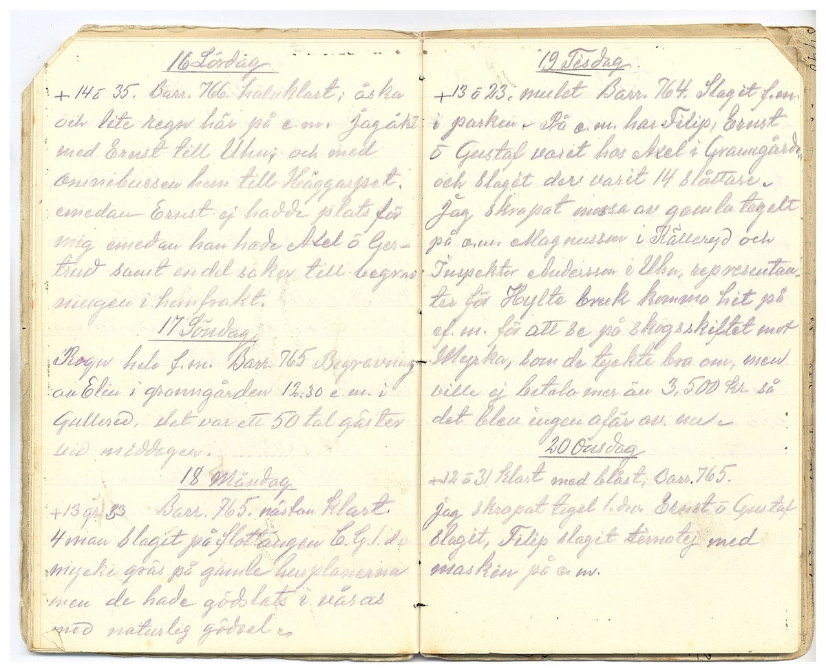 Gullereddagboken 1927 2