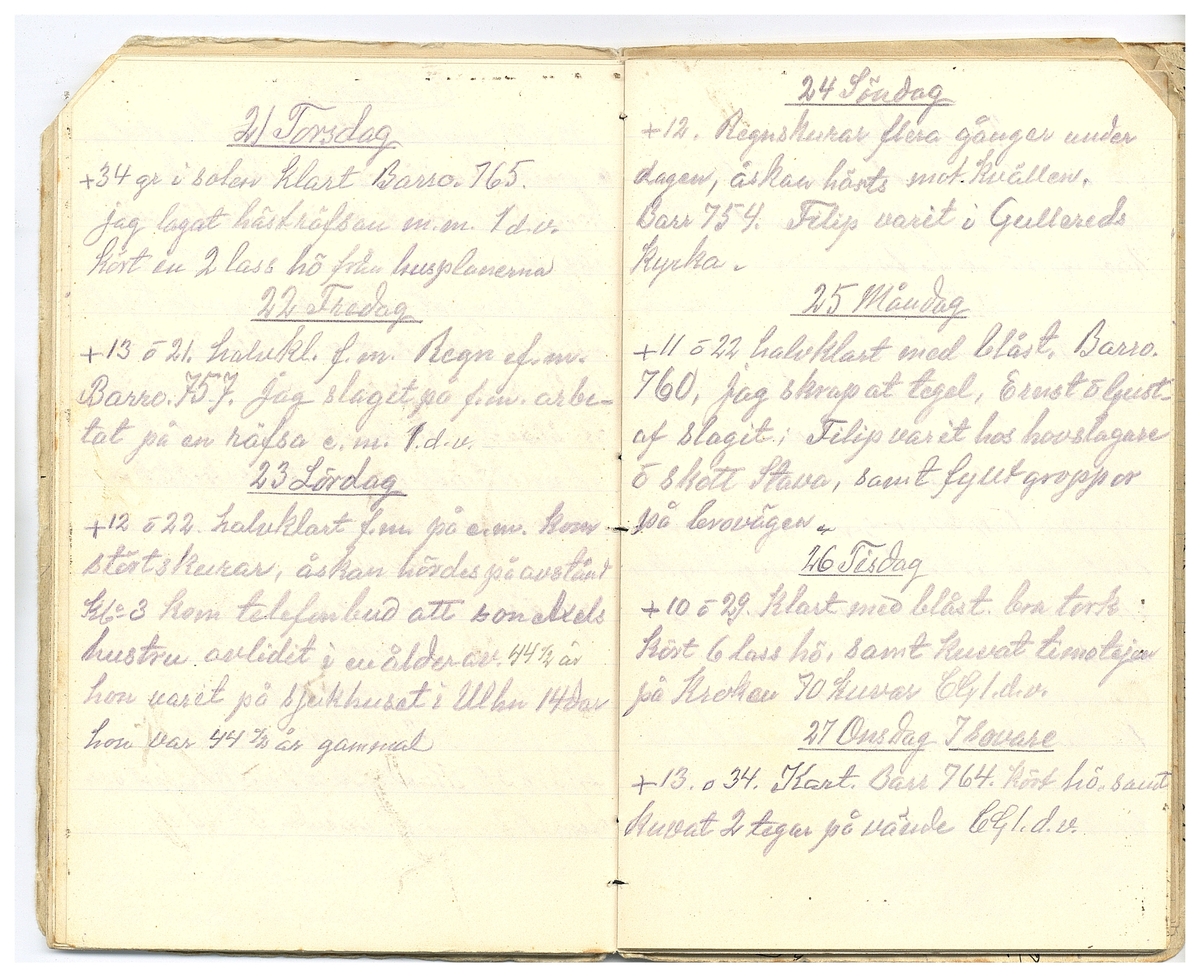 Gullereddagboken 1927 2