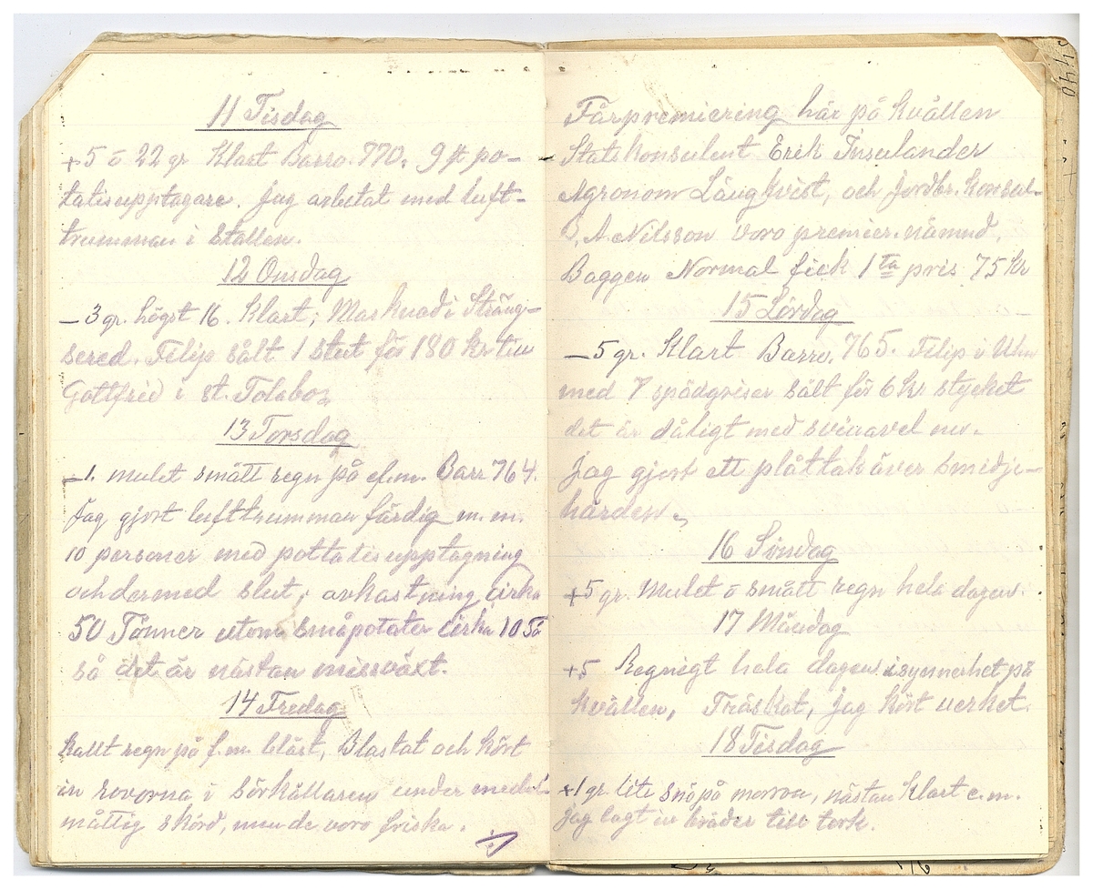 Gullereddagboken 1927 2