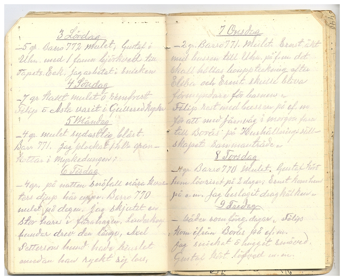 Gullereddagboken 1927 2