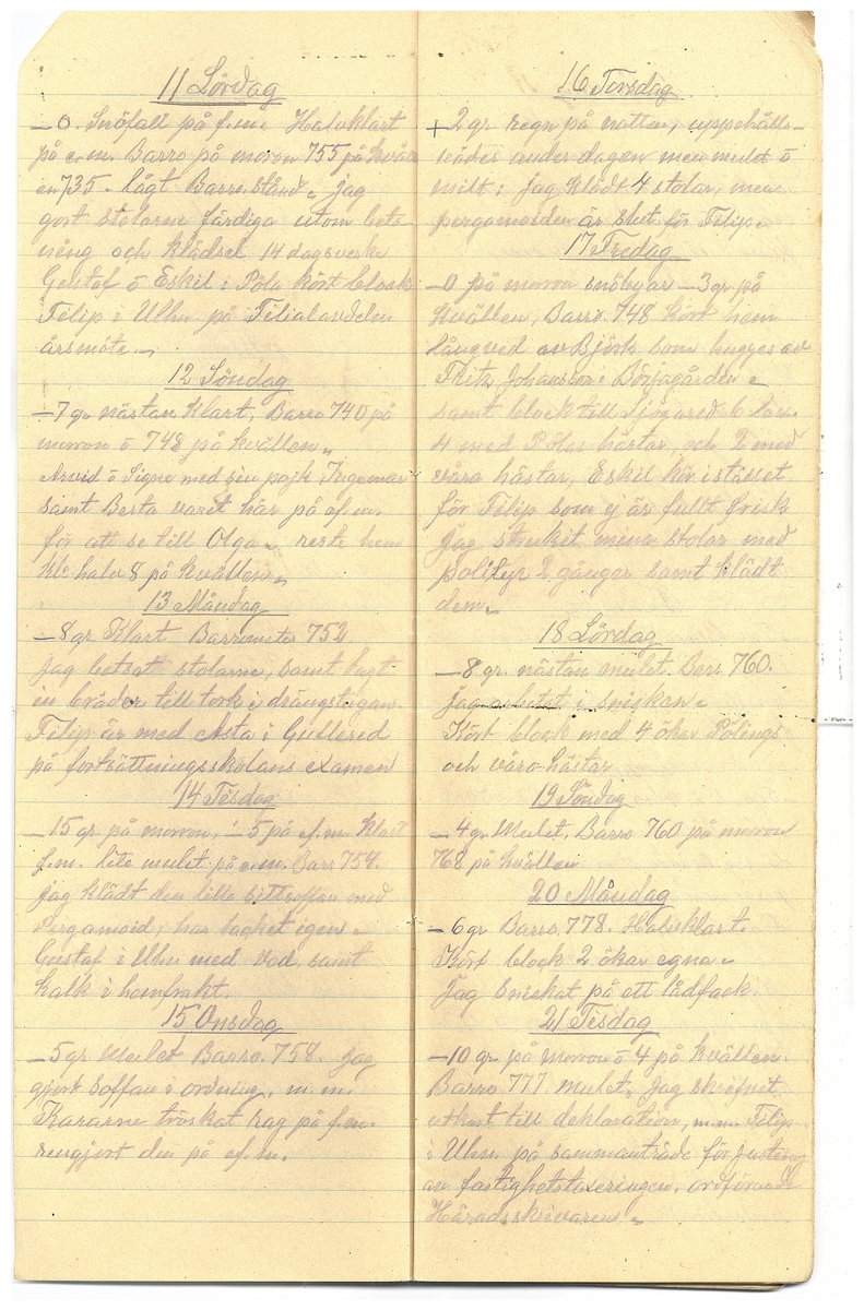 Gullereddagboken 1928