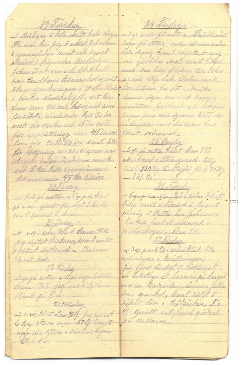 Gullereddagboken 1928