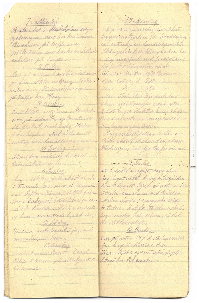 Gullereddagboken 1928