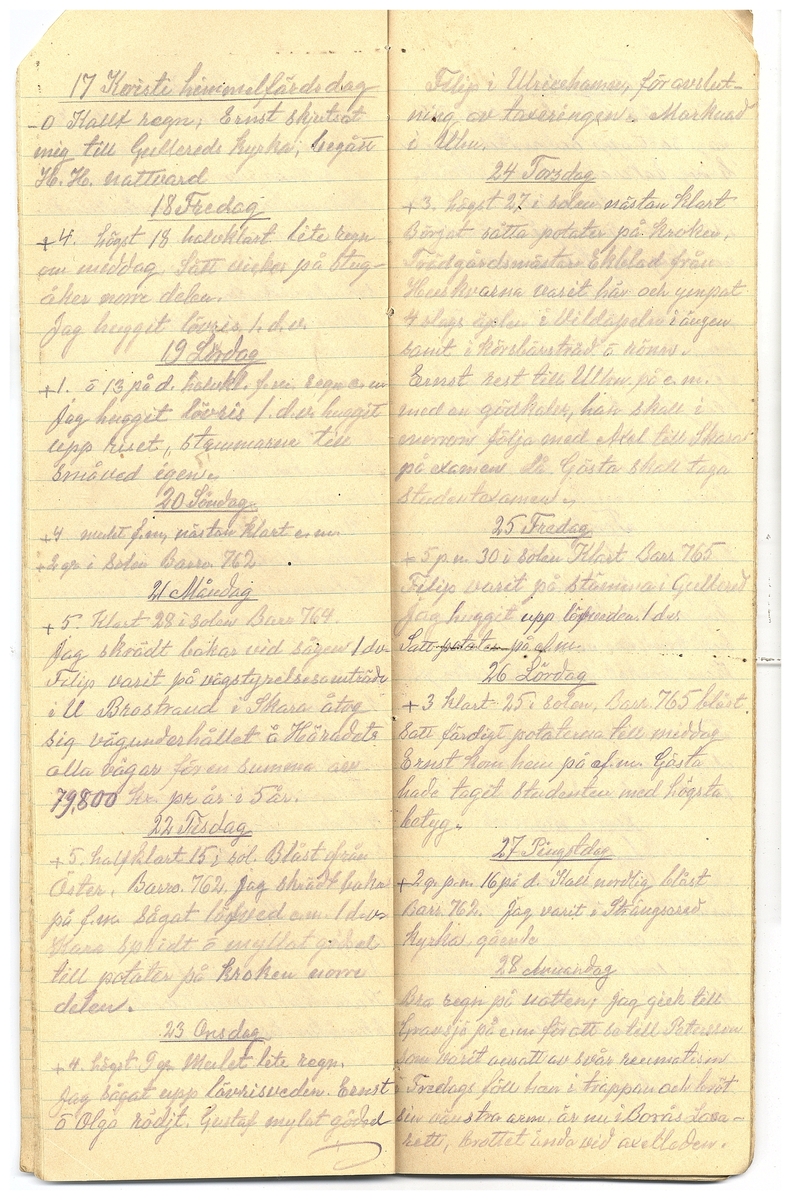 Gullereddagboken 1928