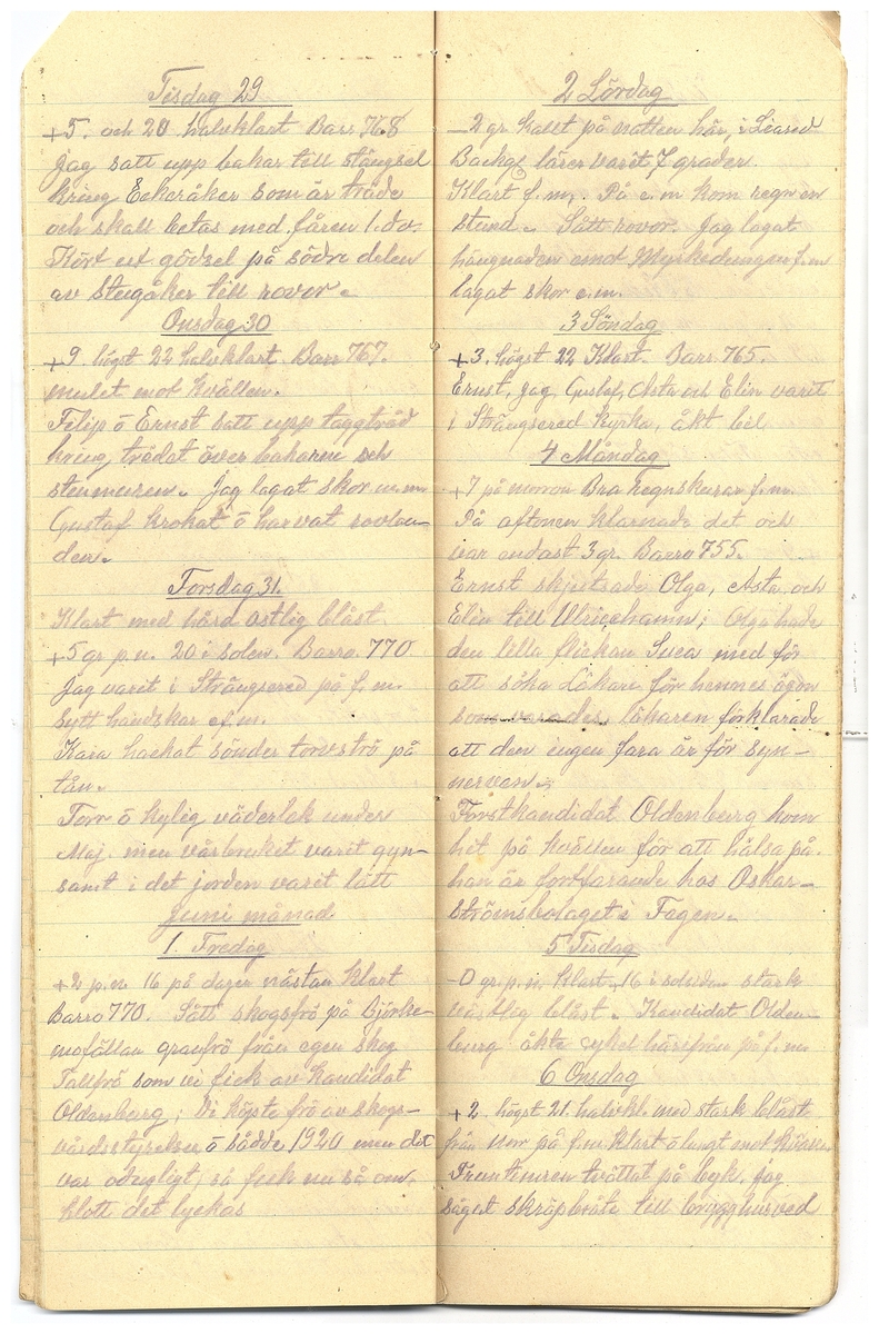Gullereddagboken 1928