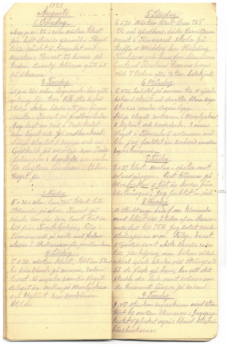 Gullereddagboken 1928
