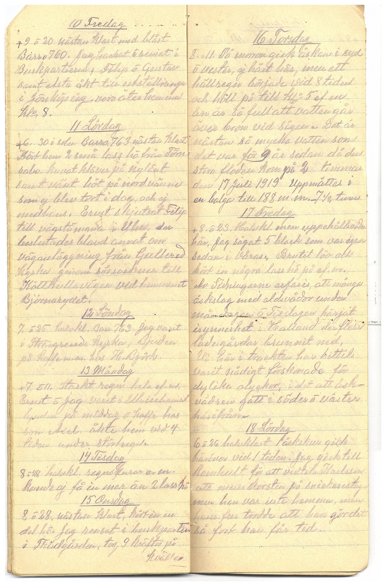 Gullereddagboken 1928