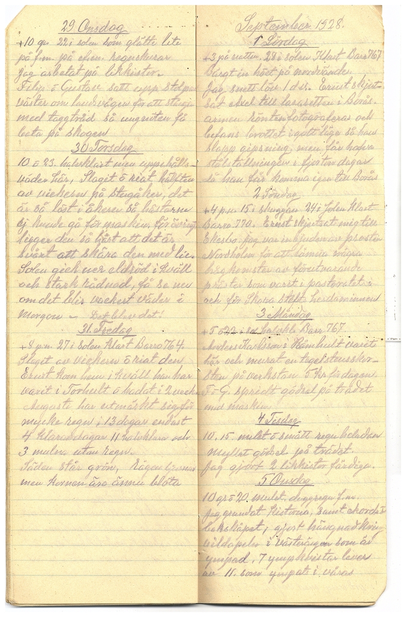 Gullereddagboken 1928