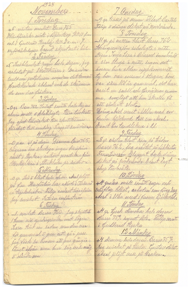 Gullereddagboken 1928