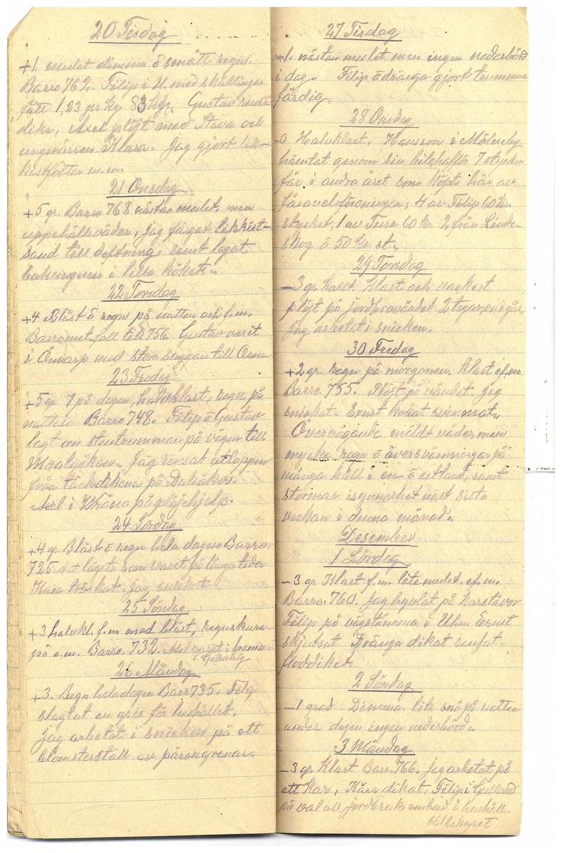 Gullereddagboken 1928