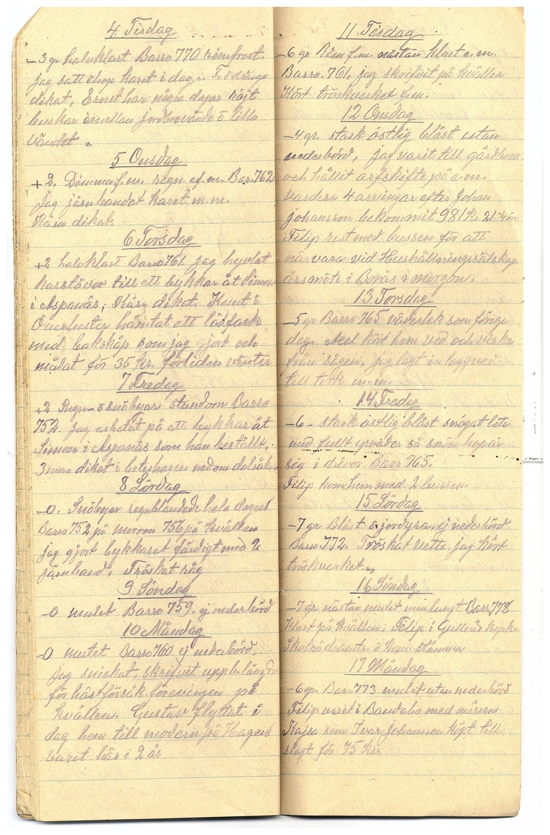 Gullereddagboken 1928