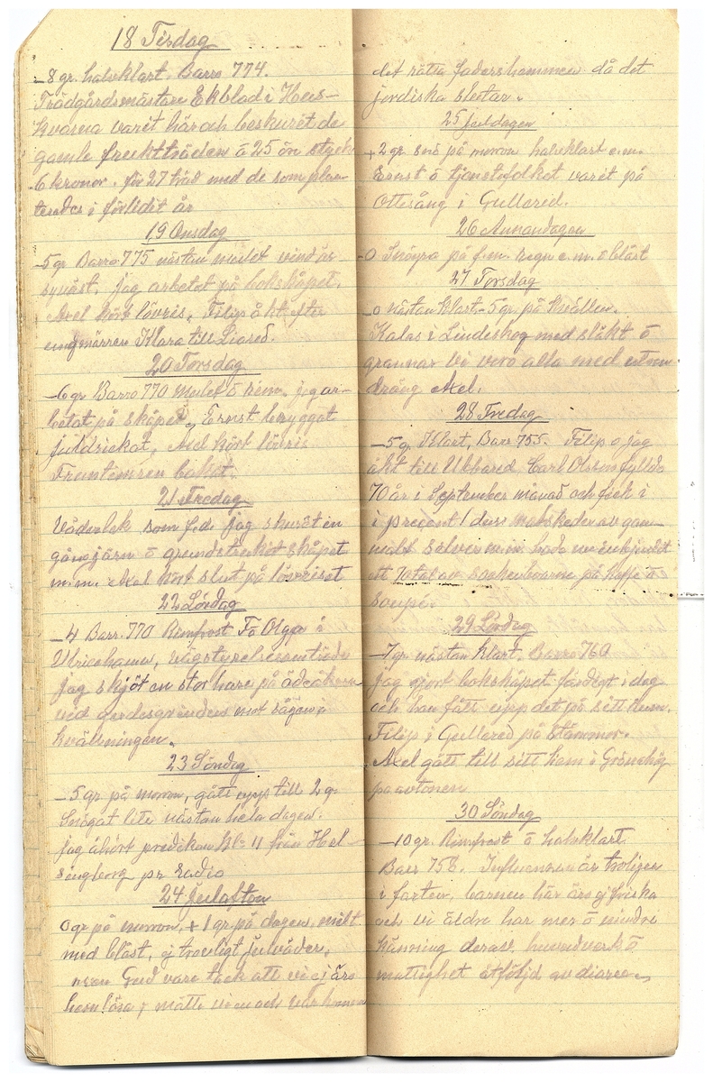 Gullereddagboken 1928