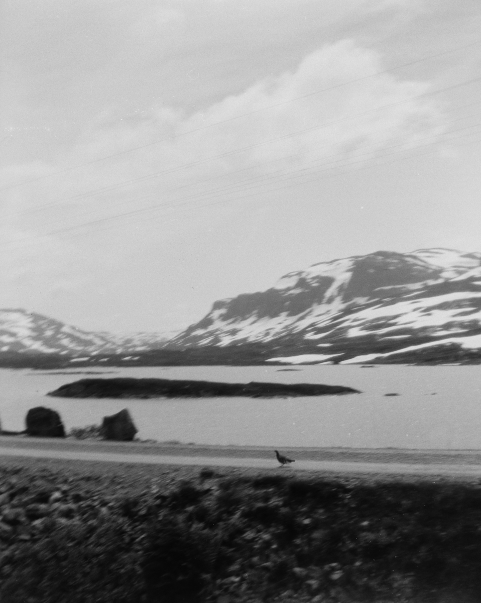 Fjellovergang, antakelig over Haukeli