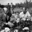 Reseexperiment i länet.
16 juli 1959.