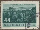 Frimärke ur Gösta Bodmans filatelistiska motivsamling, påbörjad 1950.
Frimärke från Bulgarien, 1957. Motiv av Biplan över skogslandskap 