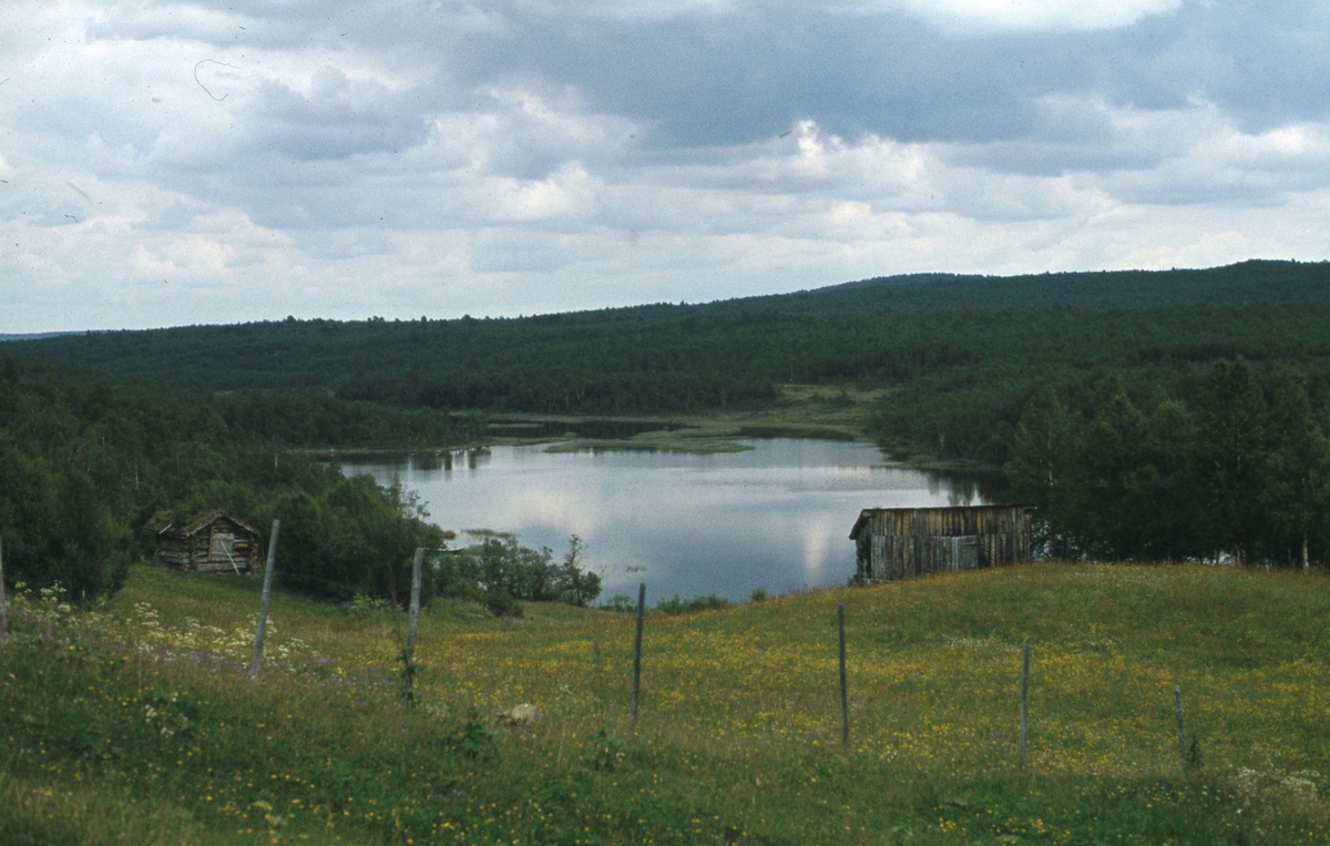 Gardsbruk. Grue.