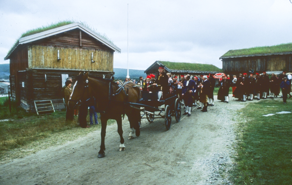 Aasengård. Rørosdagan.