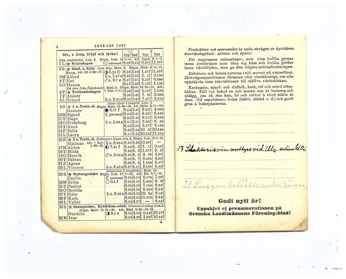 Gullereddagboken 1921 (Filip)