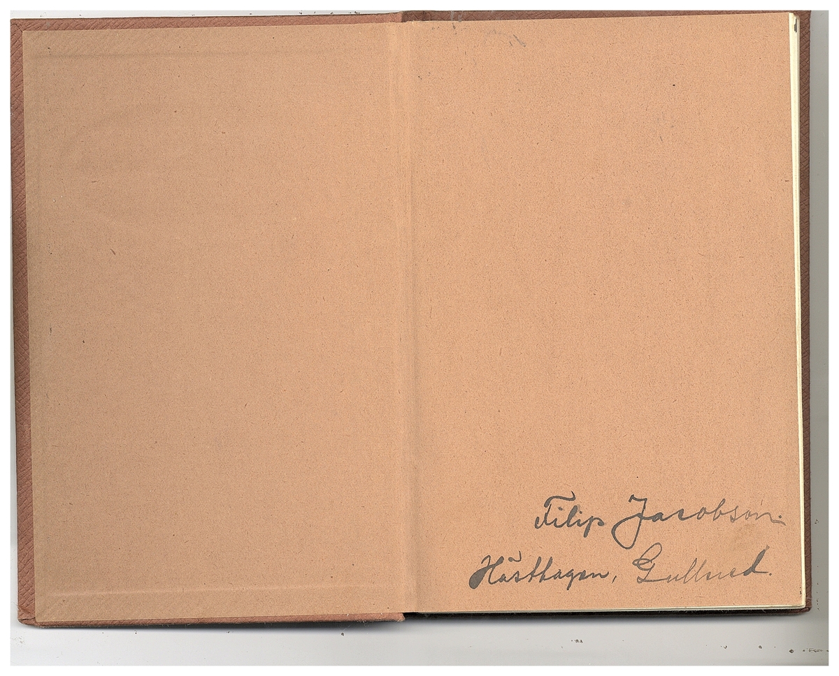Gullereddagboken 1920 (Filip)