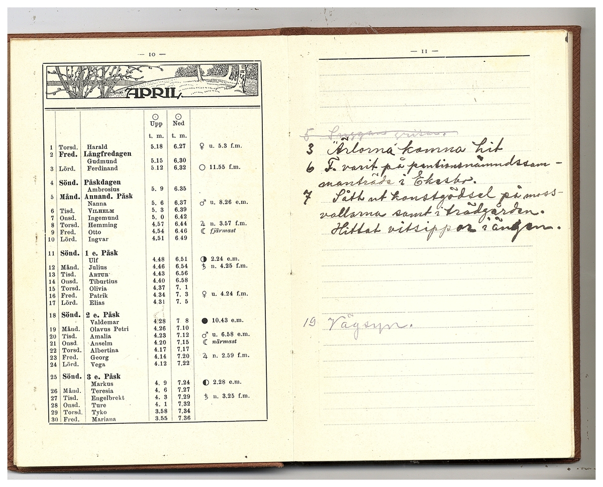 Gullereddagboken 1920 (Filip)