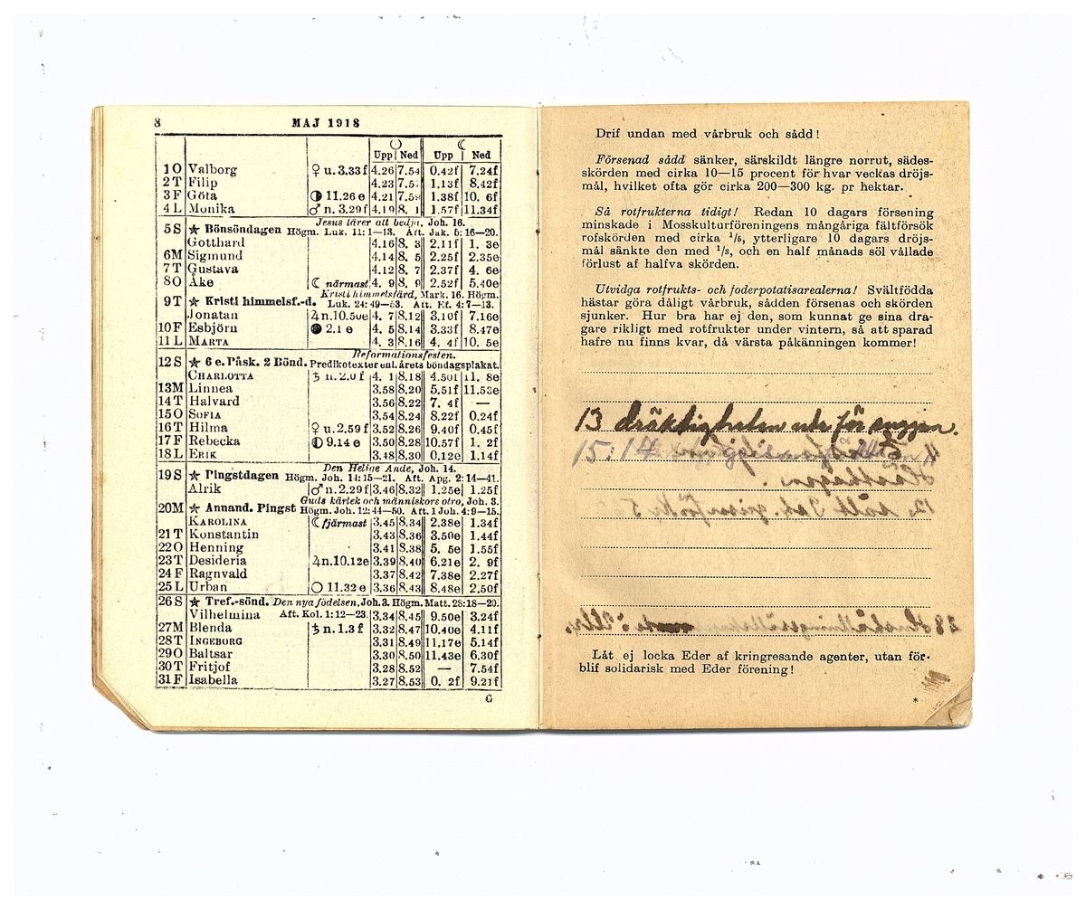 Gullereddagboken 1918 (Filip)