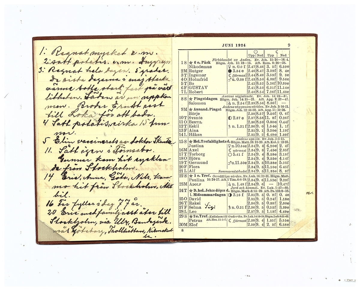 Gullereddagboken 1924 (Filip)