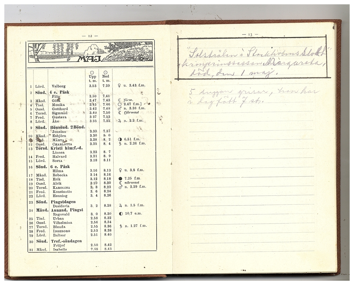 Gullereddagboken 1920 (Filip)
