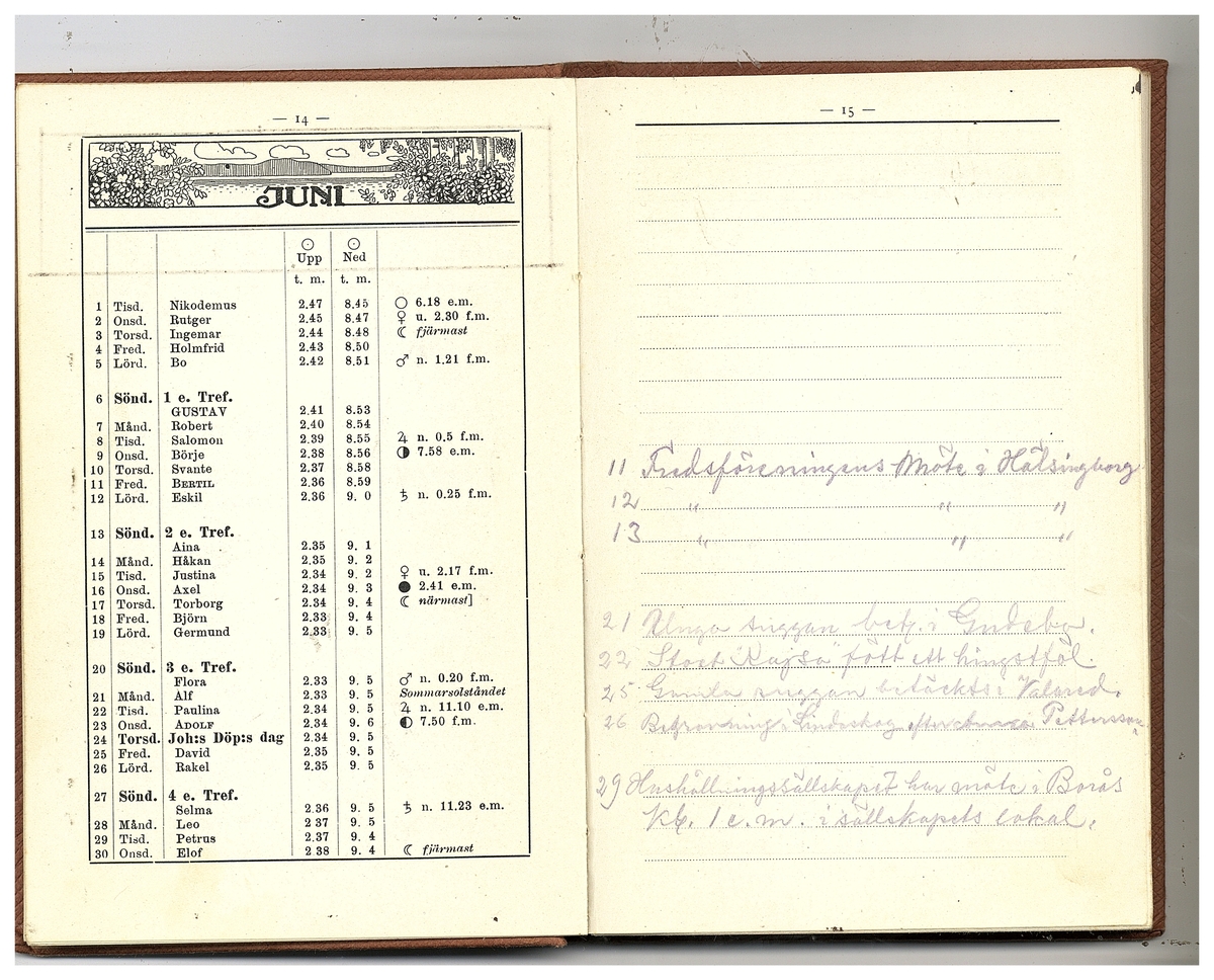 Gullereddagboken 1920 (Filip)