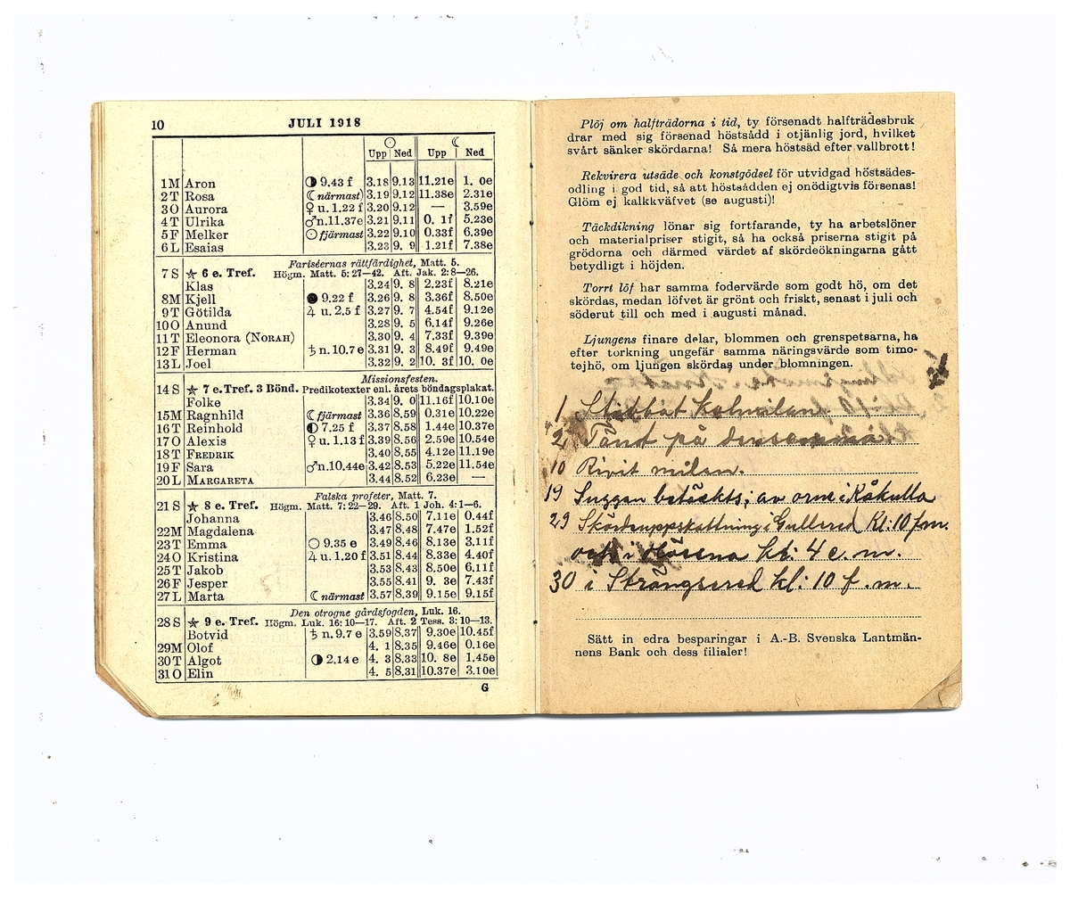 Gullereddagboken 1918 (Filip)