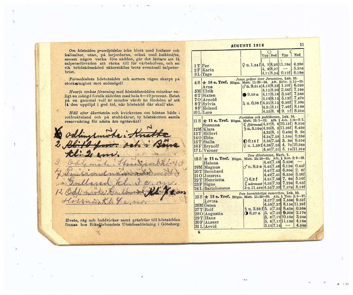 Gullereddagboken 1918 (Filip)