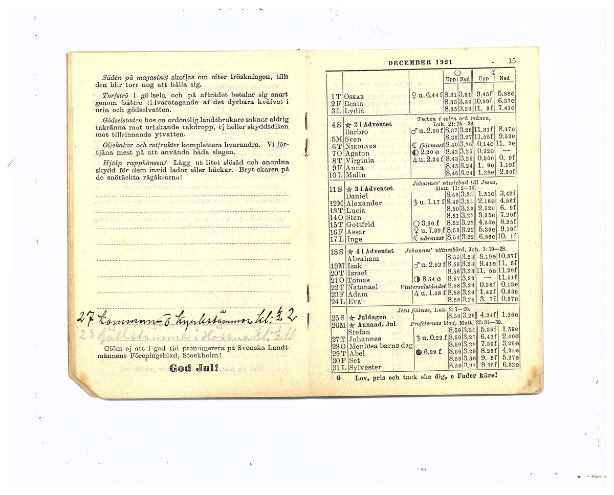 Gullereddagboken 1921 (Filip)