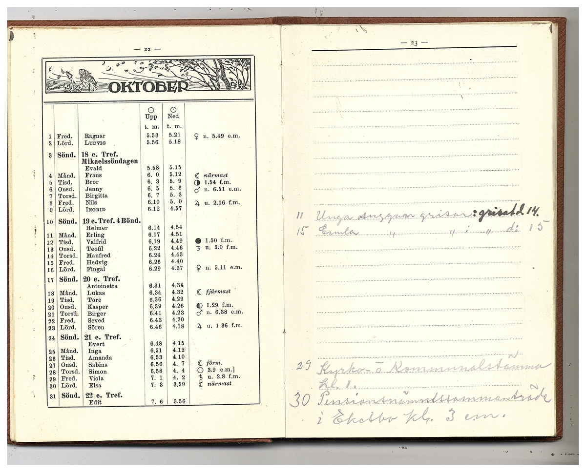 Gullereddagboken 1920 (Filip)