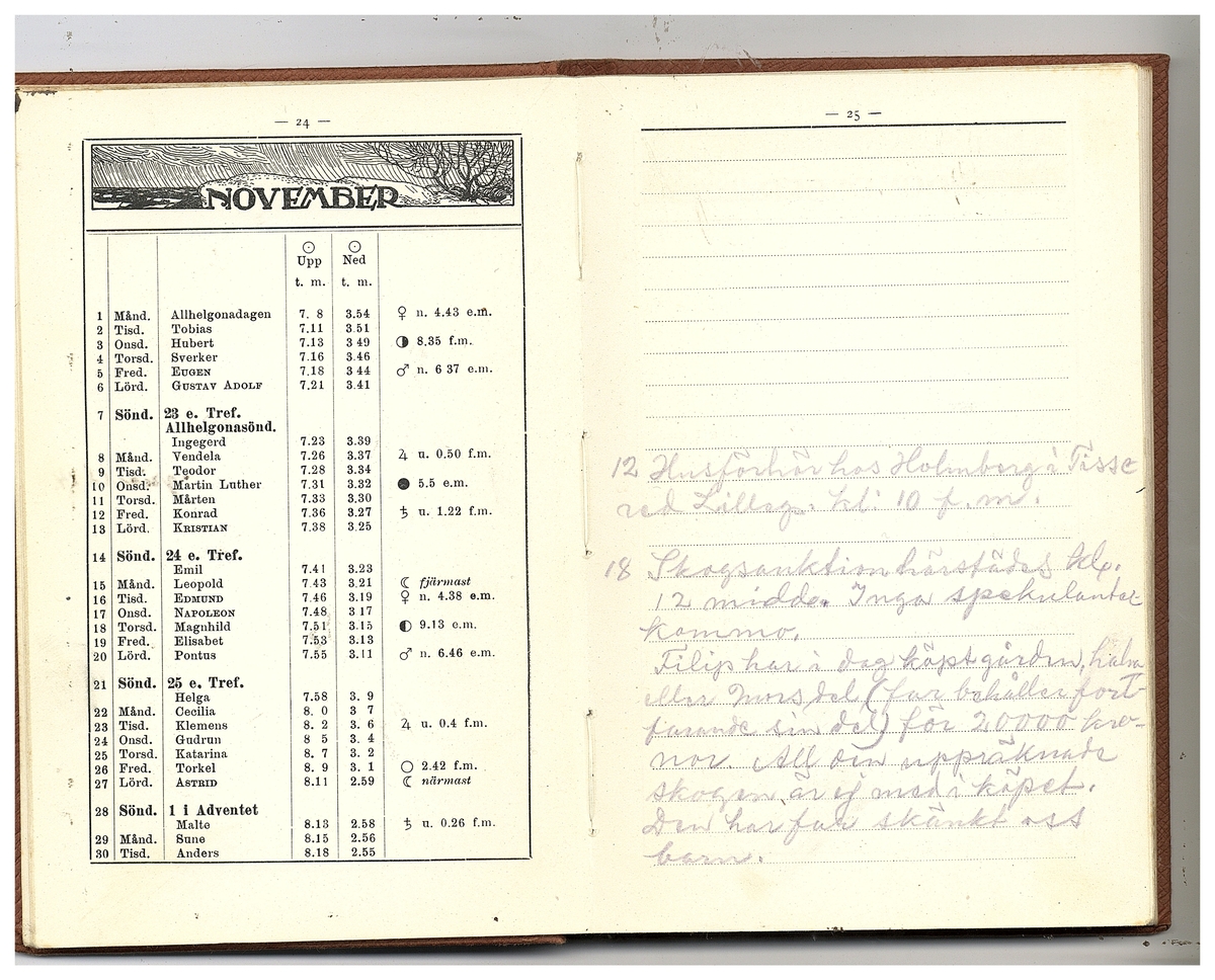 Gullereddagboken 1920 (Filip)