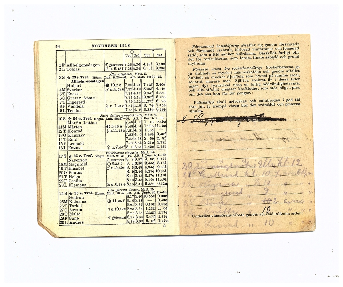 Gullereddagboken 1918 (Filip)
