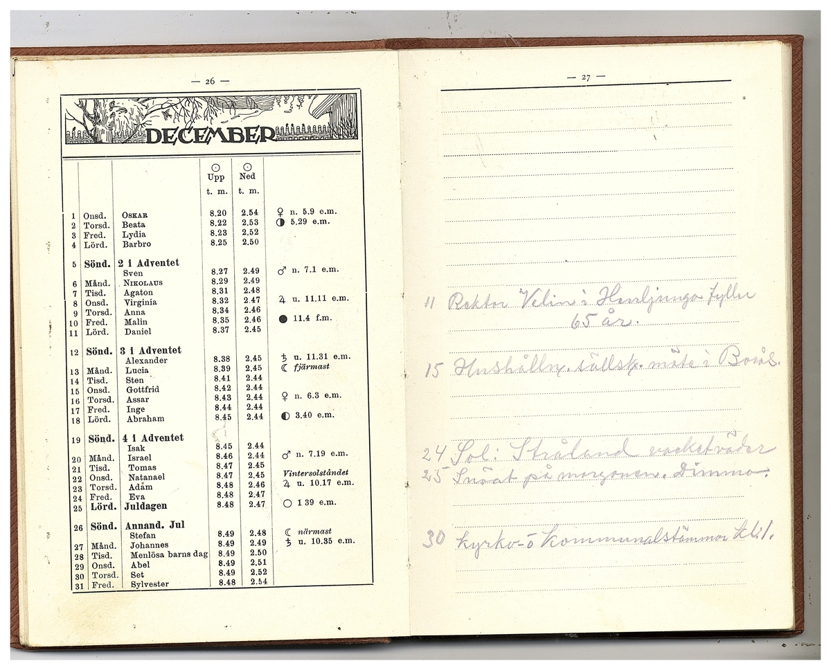 Gullereddagboken 1920 (Filip)
