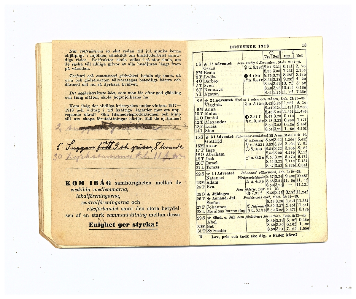 Gullereddagboken 1918 (Filip)