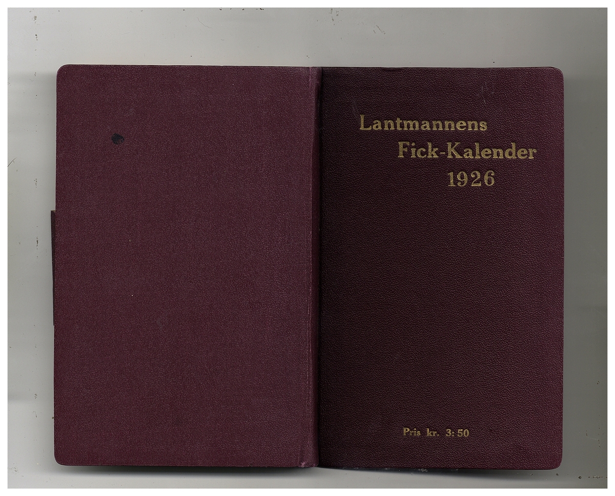 Gullereddagboken 1926 (Filip)