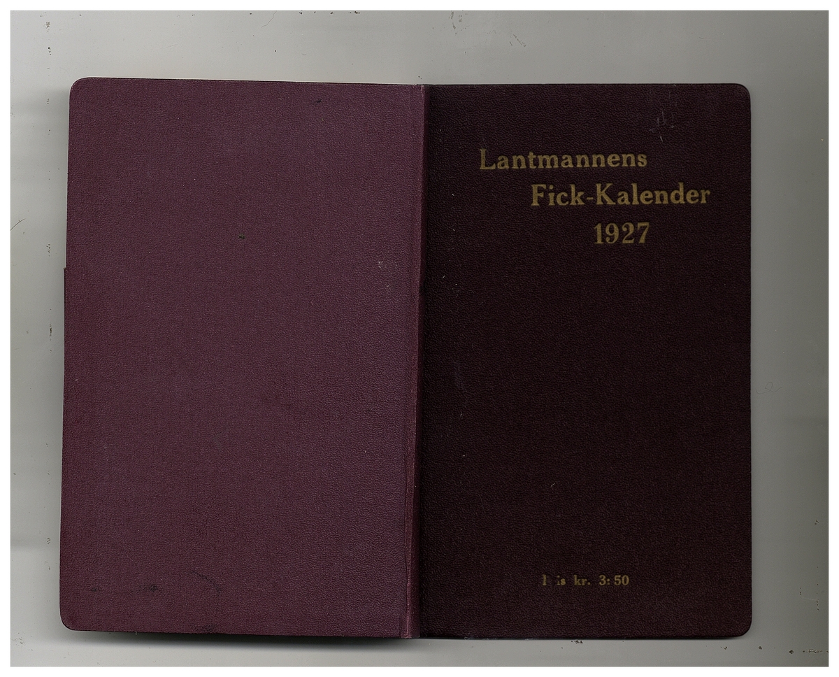 Gullereddagboken 1927 (Filip)