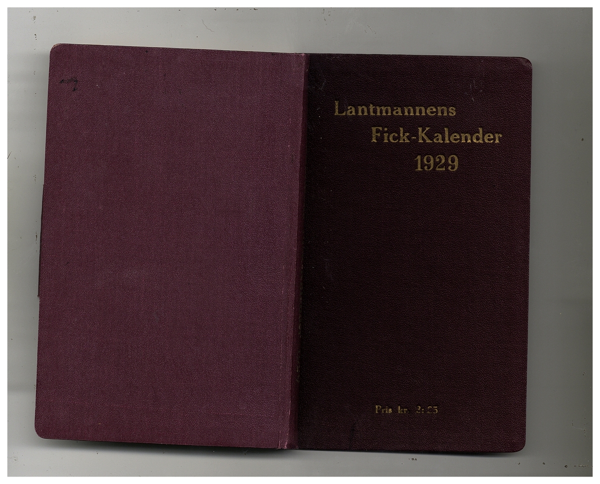 Gullereddagboken 1929 (Filip)