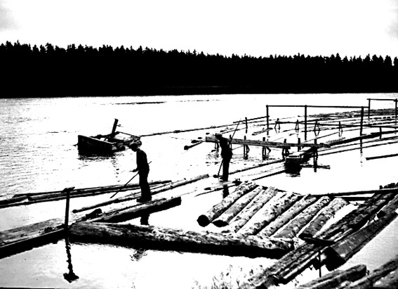 Bildsvit från Skåre ångsåg tagen 1934.