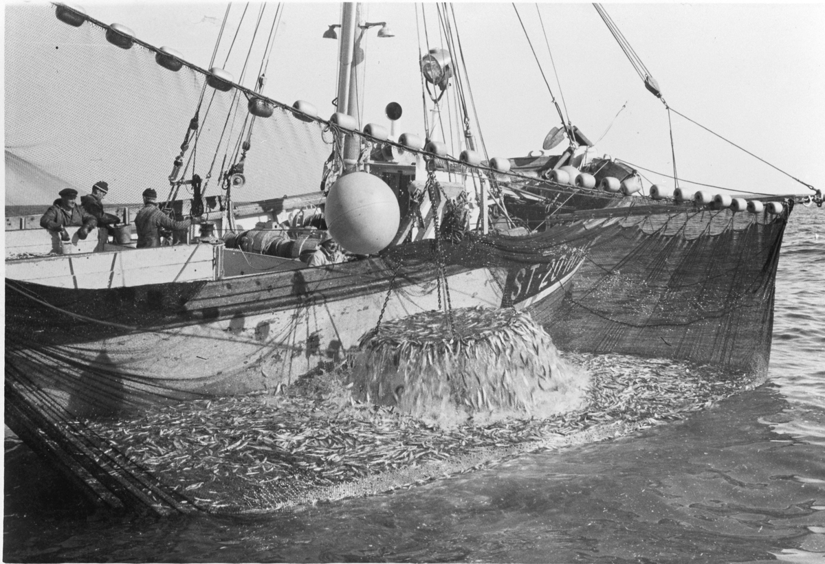 Fiskebåten ST 20 HM fra Hemne under fiske med sildnot