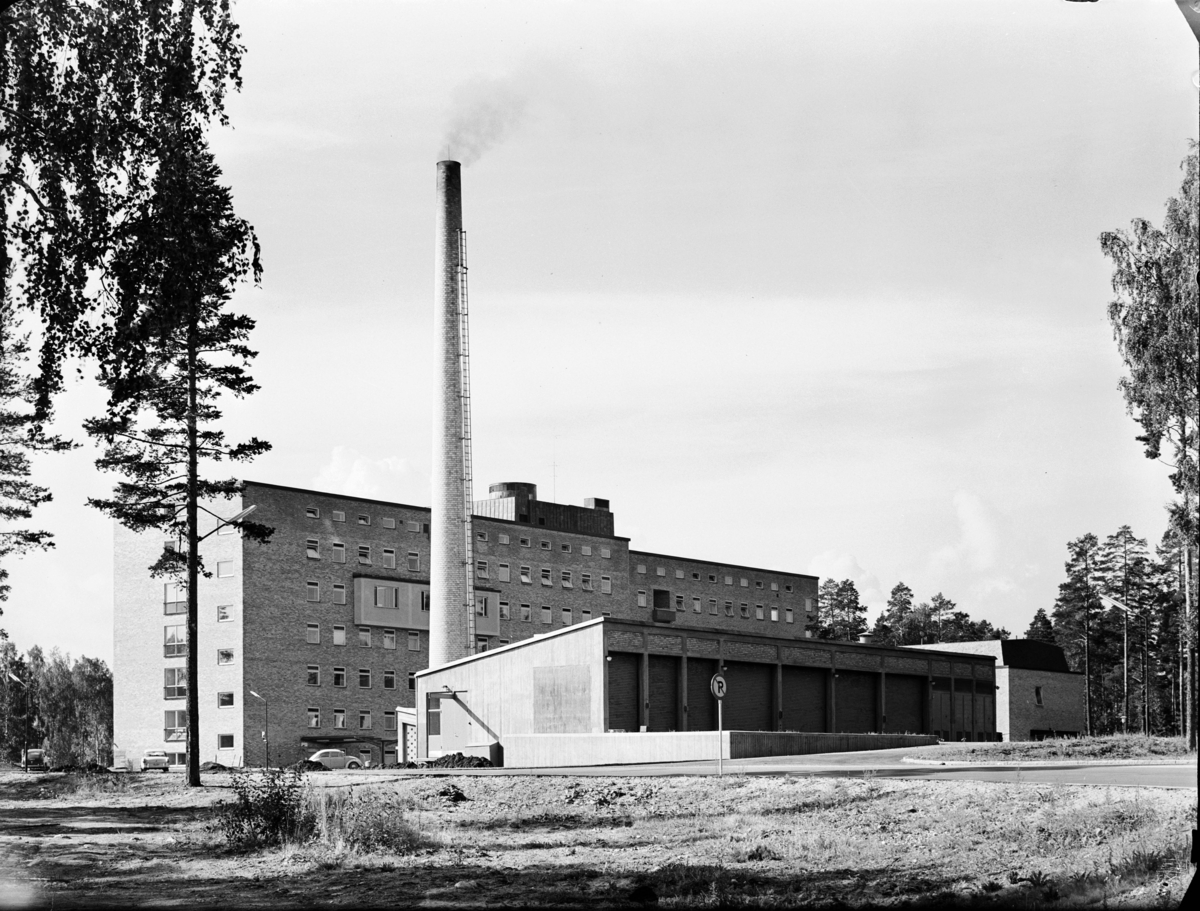 Arkitekt R. Holmgren: Sandvikens lasarett, exteriörer