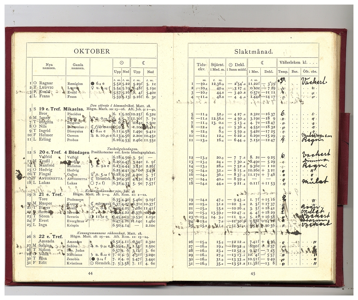 Gullereddagboken 1902 (Filip)