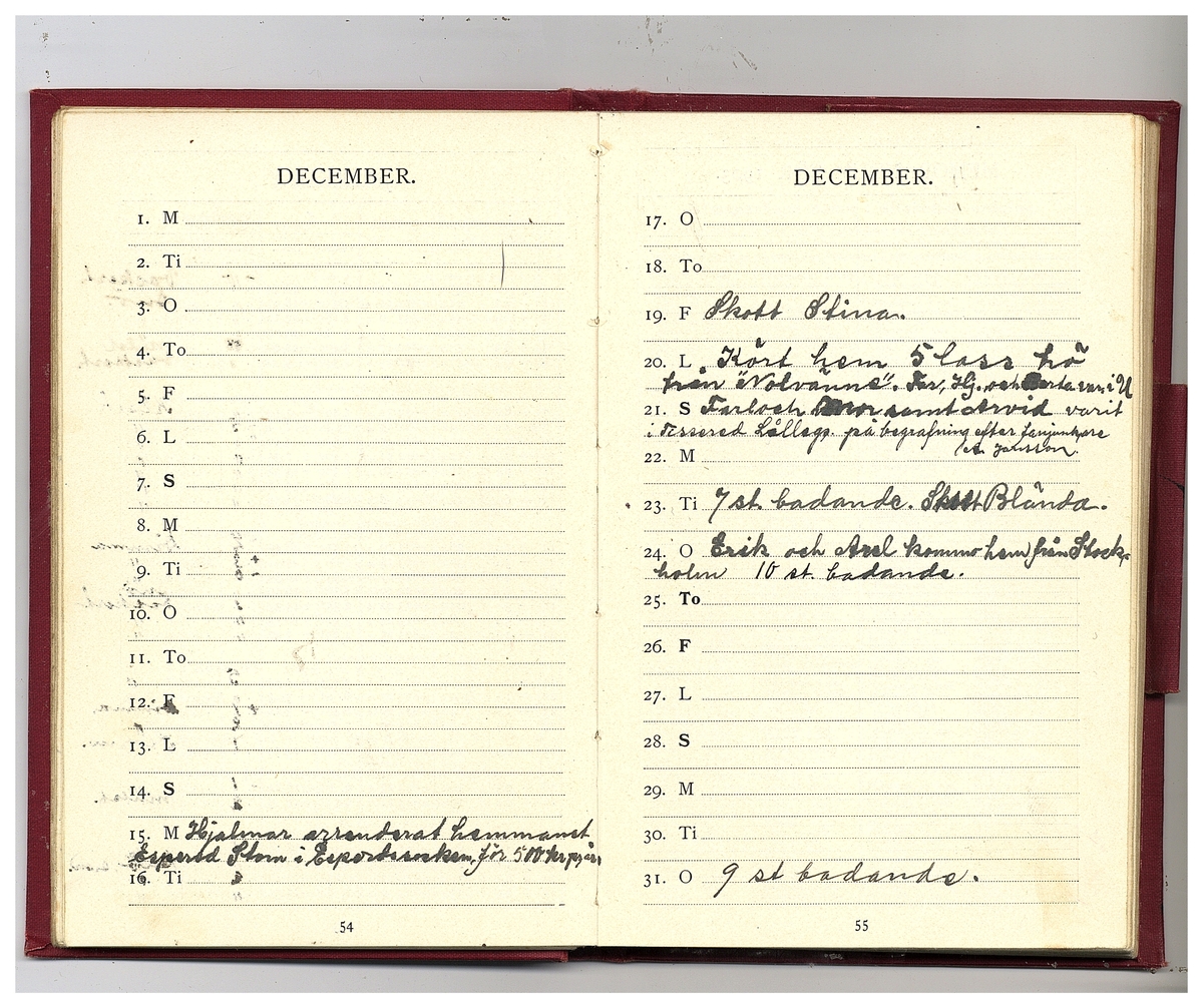 Gullereddagboken 1902 (Filip)