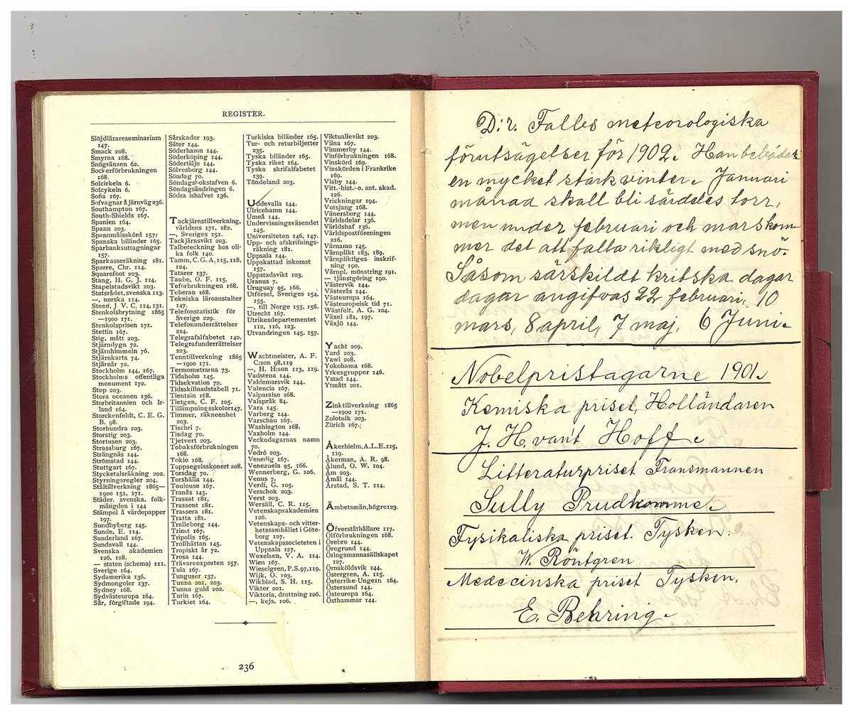 Gullereddagboken 1902 (Filip)