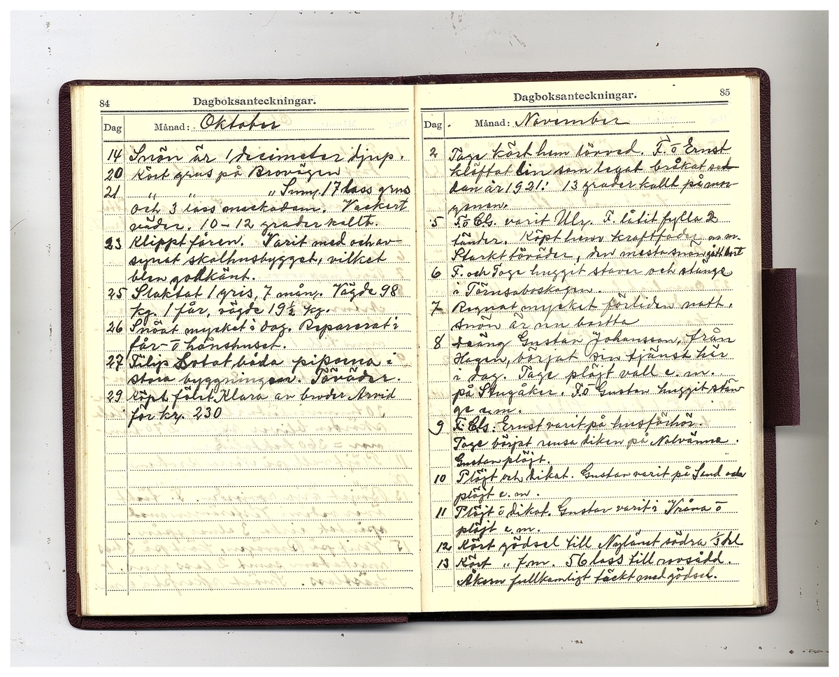 Gullereddagboken 1926 (Filip)