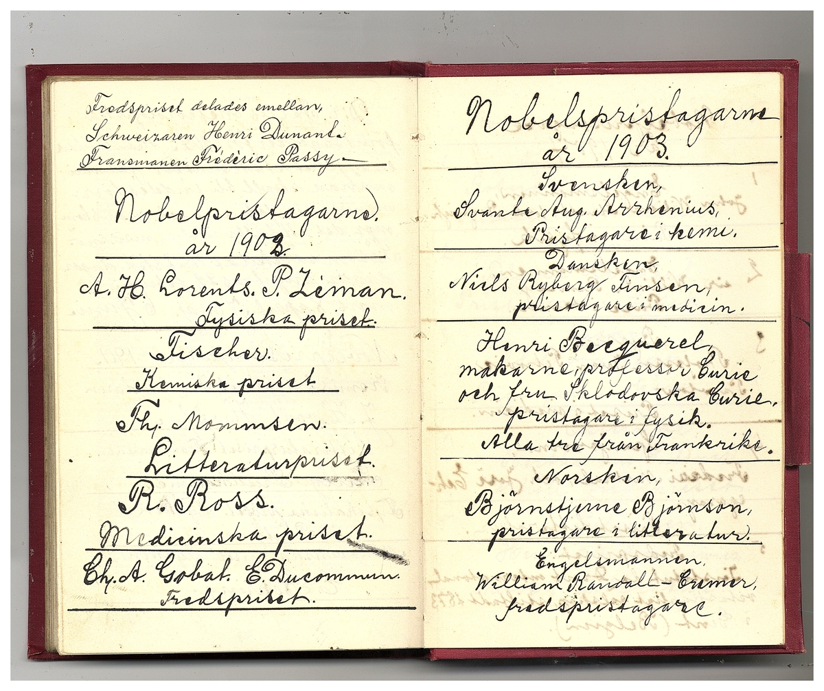 Gullereddagboken 1902 (Filip)