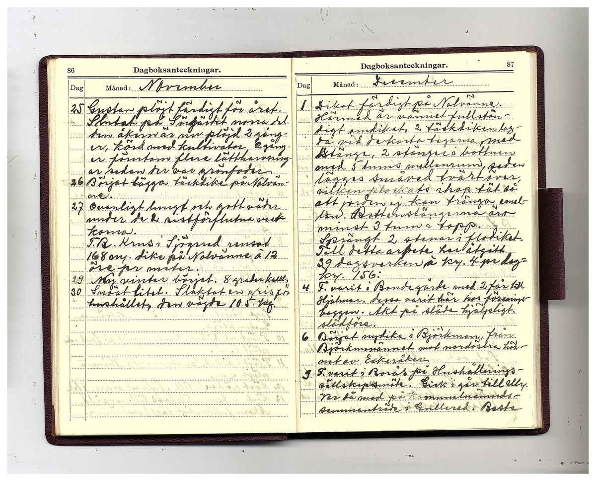 Gullereddagboken 1926 (Filip)