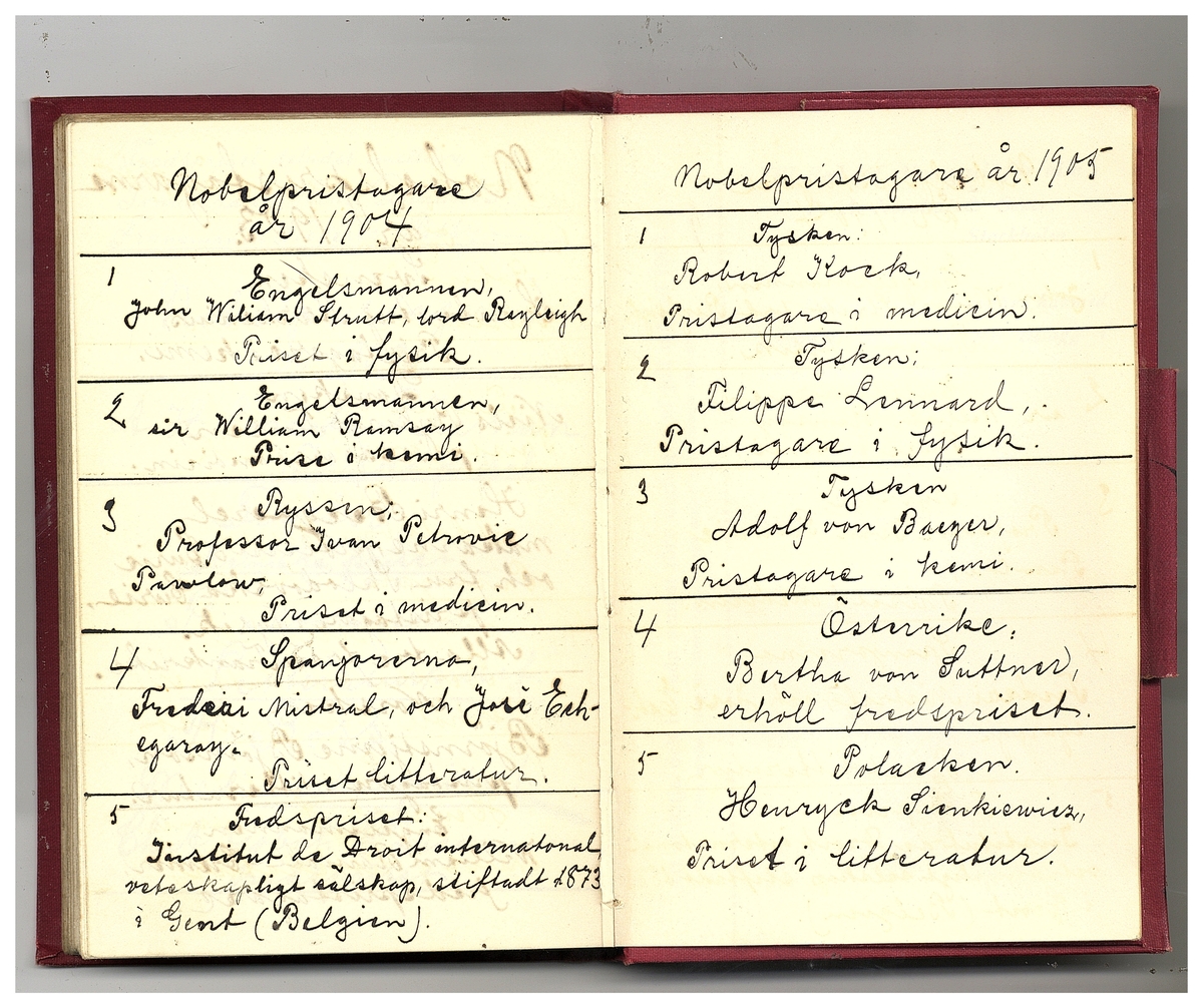 Gullereddagboken 1902 (Filip)