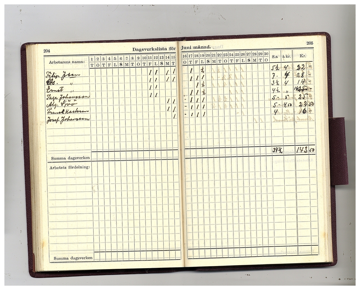 Gullereddagboken 1926 (Filip)